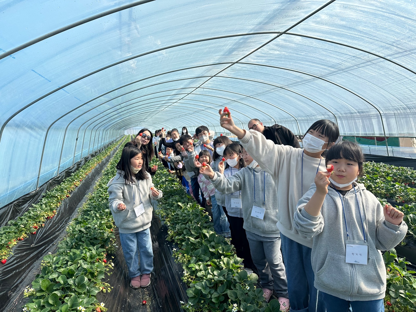 딸기체험(2023.3.15)