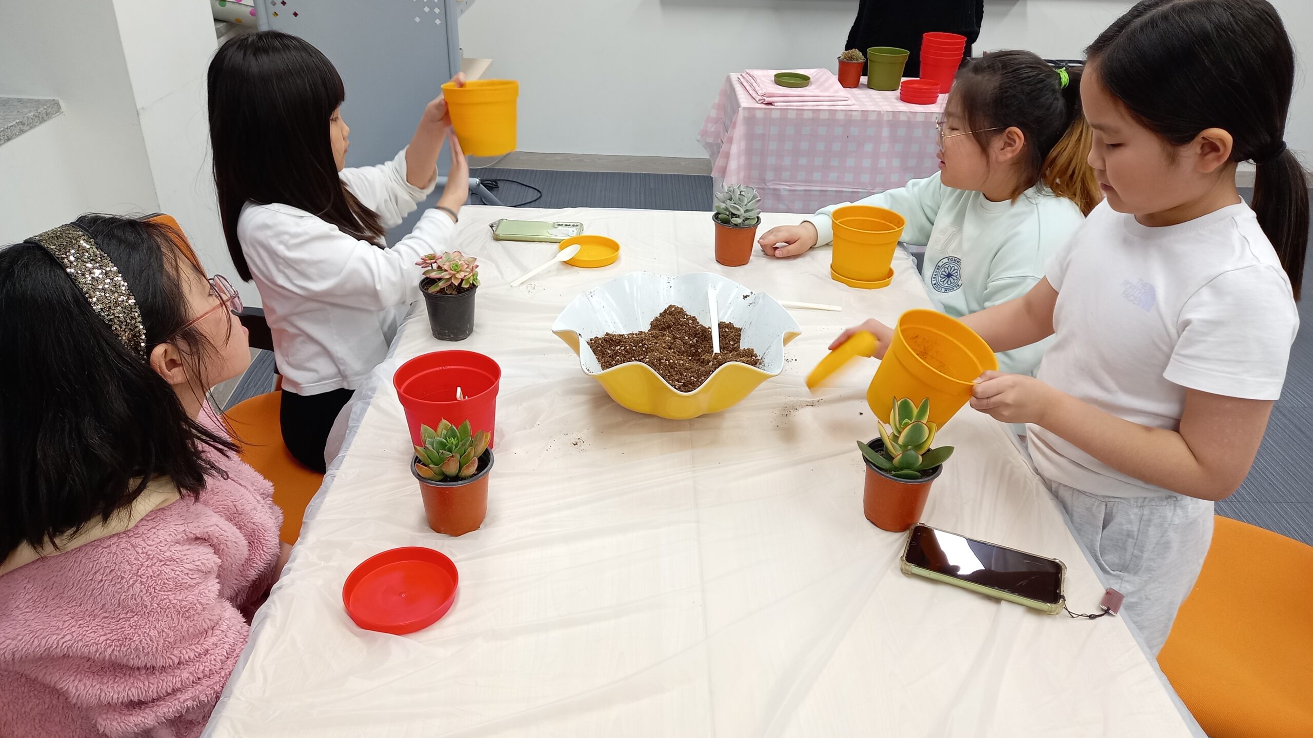 다육이키우기(2024.4.3)