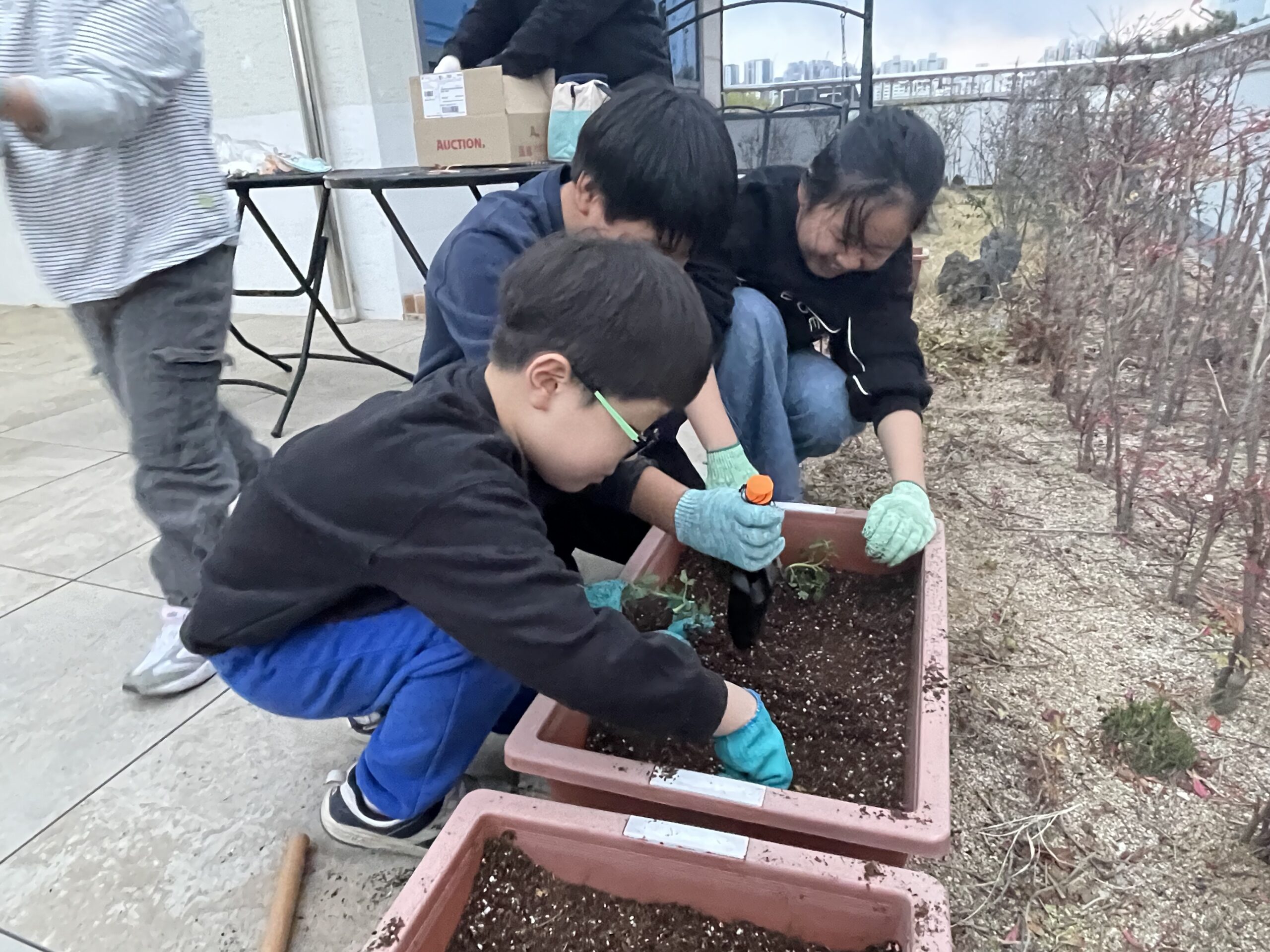 도시농부(2025.4.2)