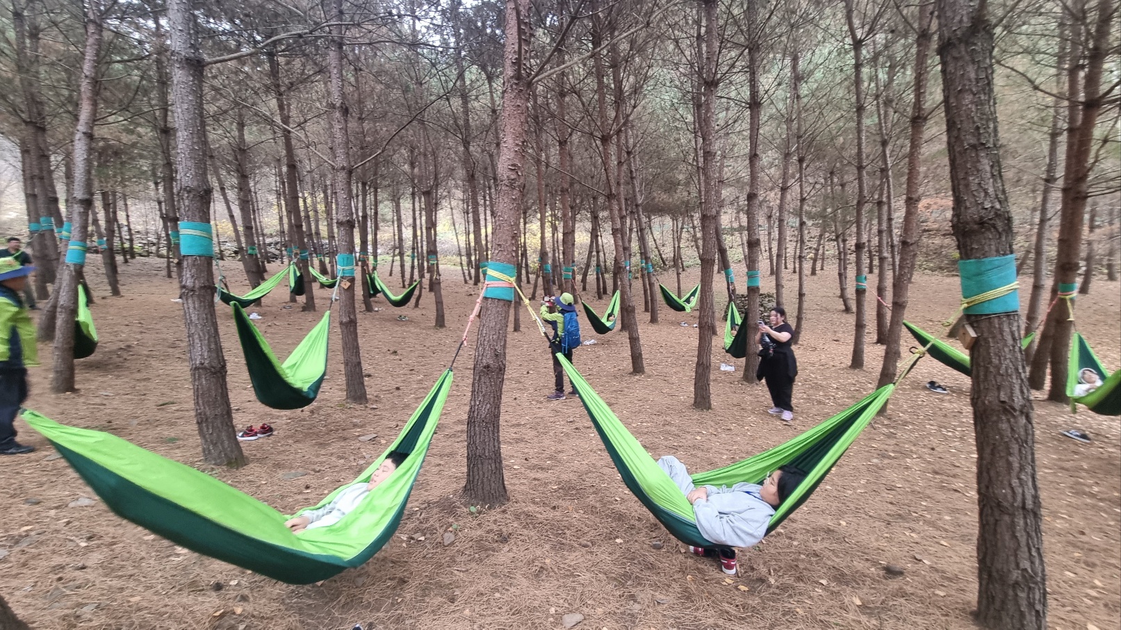 숲 힐링 프로그램 (2023.11.4)