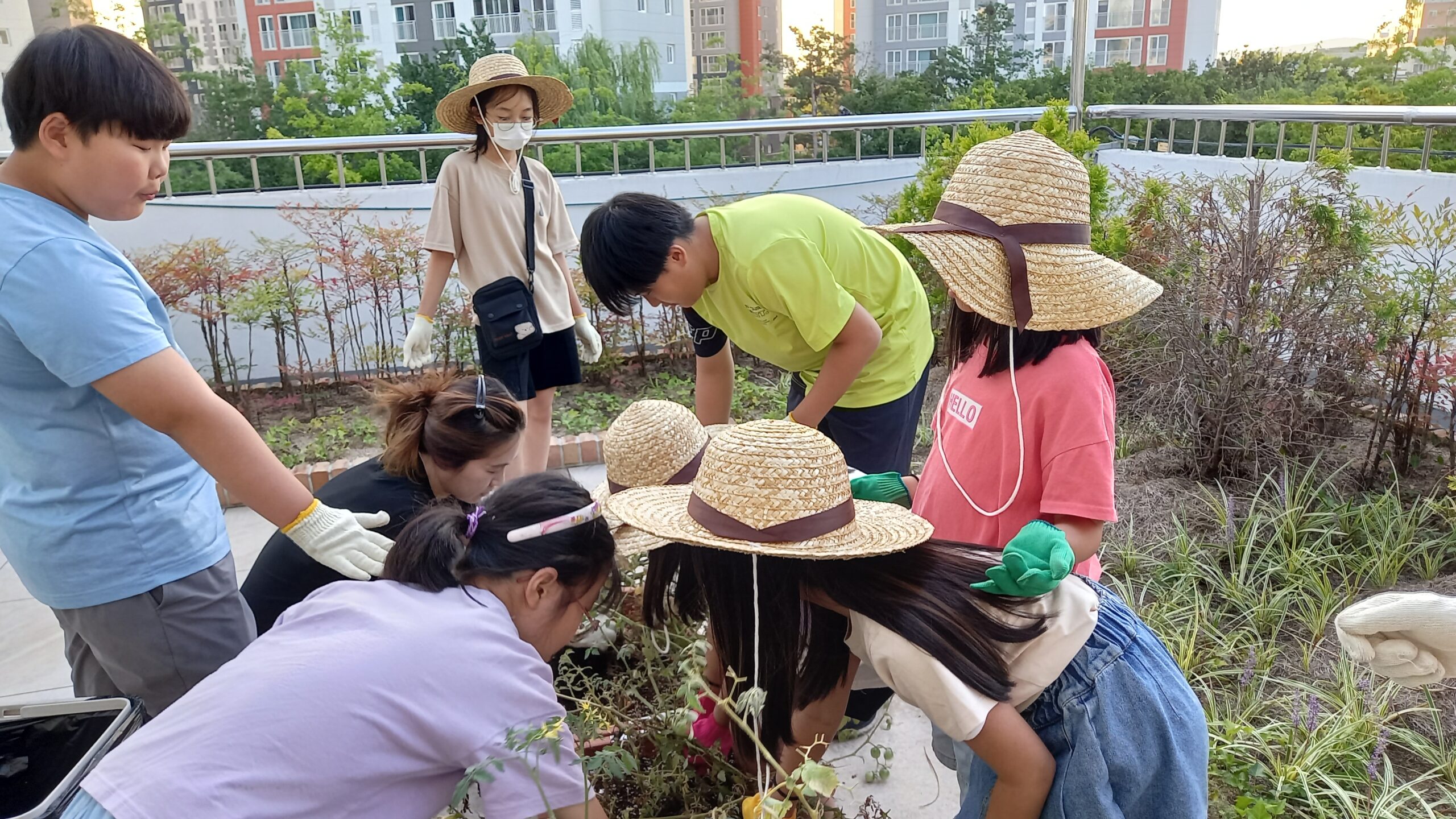 옥상 농부(2023.9.7)